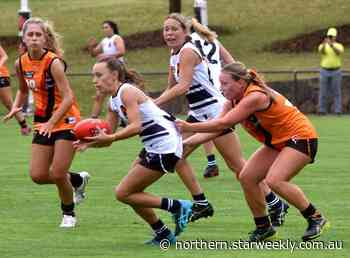 Wilcox hoping to tick another box | Northern - Northern Star Weekly