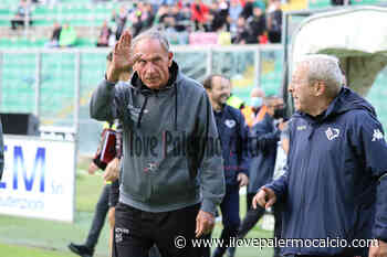 Clamoroso in C: Zeman potrebbe restare a Foggia. Pisa: spunta anche Maran. Le trattative del giorno in B e in C - Ilovepalermocalcio - ilovepalermocalcio.com - Il Sito dei Tifosi Rosanero