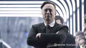 Twitter: Elon Musk will bei Produktentwicklung mitreden