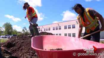 Sipekne’katik program employing social assistance clients, youth for landscape work - Global News