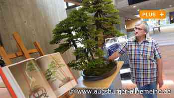 Die Europäische Bonsai Ausstellung 2022 in Augsburg - Augsburger Allgemeine