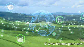 UK feed group calls for government to invest in logistics, ports, and processing capacity - FeedNavigator.com