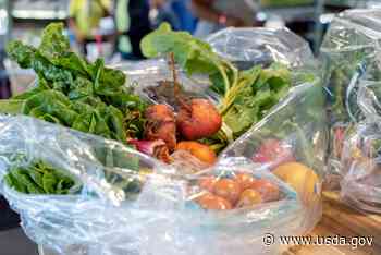 VeggieRx: How an Urban Farm is Transforming Medical Care in Chicago - USDA.gov
