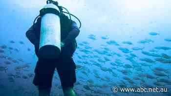 Warning to divers after unsafe carbon monoxide levels found in cylinders at Victorian retailer