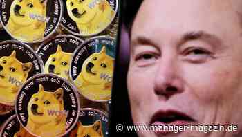 Kryptowährungen: Dogecoin–Investor verklagt Elon Musk auf 258 Milliarden US-Dollar