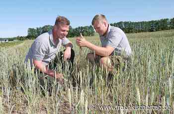 Landkreis Coburg: Trockenheit macht Landwirten und Feuerwehr zu schaffen - Fränkischer Tag