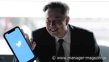 Twitter: Elon Musk strebt für Nachrichtendienst eine Milliarde Nutzer nach einer Übernahme an