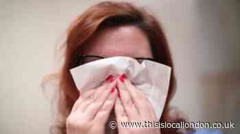 How to prevent hayfever as Met Office reveals why it is so bad this year