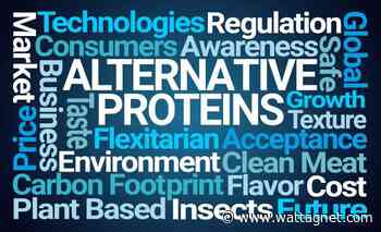 Plant protein makes headway in U.S. consumer diets - WATTAgNet Industry News & Trends