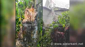 Woonhuis beschadigd door omgevallen boom - Waterkant