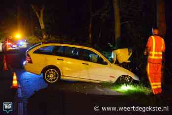 Automobilist vlucht na botsing tegen boom in Haelen - Weertdegekste.nl