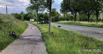 Angetrunken? Autofahrer kollidiert in Lemgo mit Baum | Lokale Nachrichten aus Lemgo - Lippische Landes-Zeitung