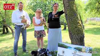 Vierstellige Spende für die Seelentröster in Greuda