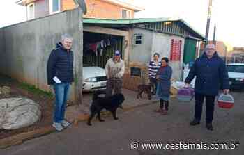 Faxinal dos Guedes inicia nova etapa de castração de cães e gatos - Oeste Mais