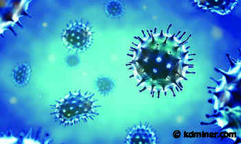 Coronavirus cases slowly rising in Mohave County | The Kingman Miner Miner | Kingman, AZ - Kdminer