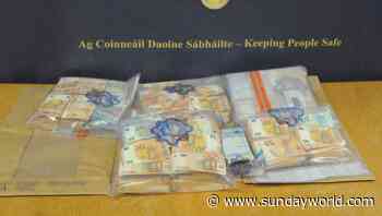 Man (30s) arrested after €269k in cash seized in Co Dublin raid targeting crime gang - Sunday World