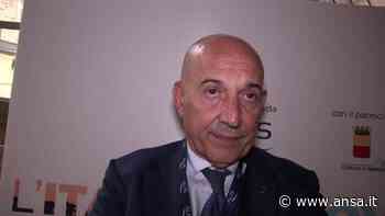 Emanuele Grimaldi eletto presidente Associazione Mondiale Armatori: primo italiano in 100 anni - Campania - Agenzia ANSA