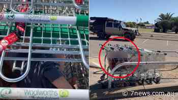 Woolworths supermarket shopper stuns with ‘free childcare’ trolley hack in new TikTok video - 7NEWS
