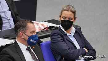 Analyse zu Parteitag in Riesa: Verschwindet die AfD bald in der Versenkung? - svz – Schweriner Volkszeitung