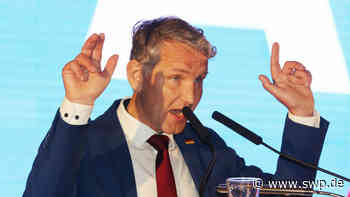 AfD-Parteitag in Riesa: Wer führt künftig die AfD? Wie die Partei aus der Krise kommen will - SWP