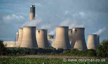 UK 'net zero' plan to remove CO2 from atmosphere relies on burning 120 million trees, report claims