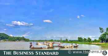 Mother carp fishes lay eggs in Halda river - The Business Standard