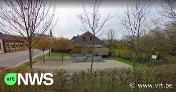 Bomen rond petanquepleintje in Bocholt vergiftigd - VRT NWS