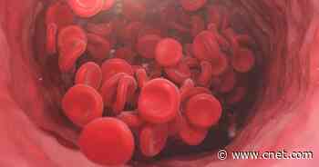 Your Blood Type Matters, Especially When It Comes to Your Heart Health     - CNET