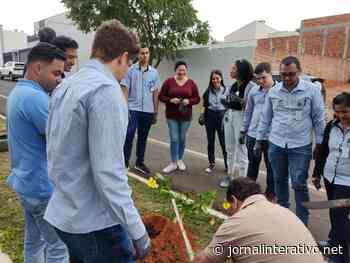 Dracena fazem plantio em parceria - Jornal Interativo