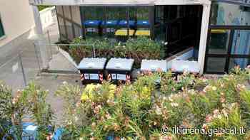 Cecina, fa discutere l'isola ecologica posizionata accanto all'albergo - Il Tirreno