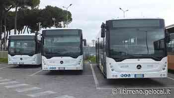 Marina di Bibbona, nuovo percorso del bus - Il Tirreno