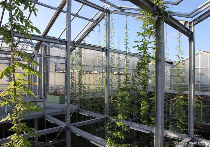 Dachlandschaft als Möglichkeitsraum
 - BDA-Montagsgespräch in Köln