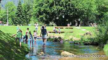 Schatten und Abkühlung: In Bad Herrenalb lässt sich die Hitze aushalten