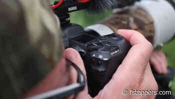 Back-button Autofocus Is Even Better on Mirrorless Cameras, and Here’s Why