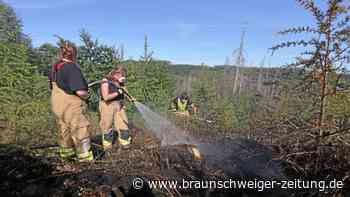 Waldbrand im Harz unter Kontrolle – Einsatz geht weiter