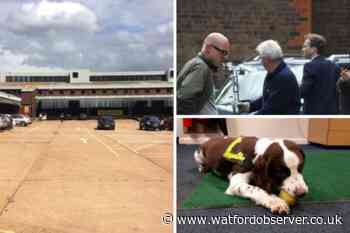 Morrisons, Warner Bros and David Tennant among Watford archive stories