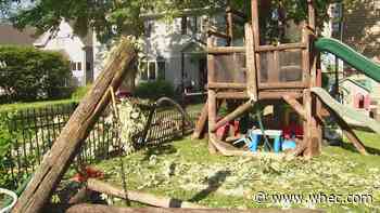 Residents of Livonia clean up day after damaging storm