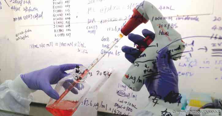 Il Wto non ha sospeso i brevetti su vaccini e farmaci anti Covid. L’accordo è solo di facciata