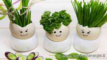 Erba cipollina sempre fresca, è questo il segreto che nessuno ti ha spoilerato - Orizzontenergia