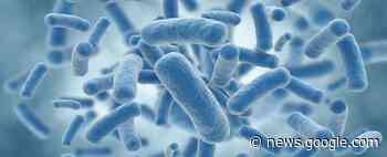 Breeding 2,000 Generations of Bacteria May Have Solved This Major Debate in Biology - ScienceAlert