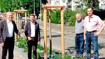 Stadt will mehr Grün in der Wolfsburger Innenstadt