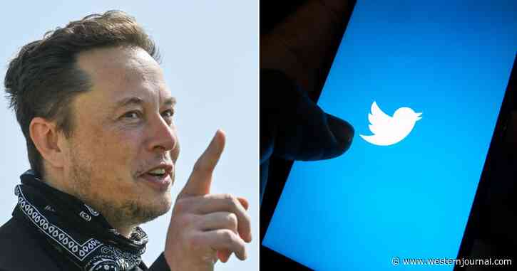 Musk Nails Twitter: How Can It Treat Half the Country Like This?