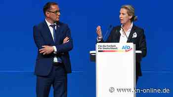 AfD zwischen Richtungsstreit und Konsolidierung: „Wir müssen geradlinig und wahrnehmbar sein“