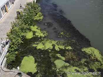 Allarme siccità anche a Roma e nel Lazio: ecco cosa rischiano