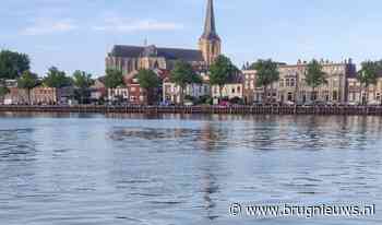 Bever gespot in de IJssel - Al het nieuws uit Kampen, IJsselmuiden eo - Weekblad De Brug