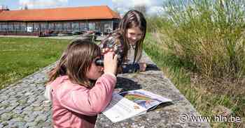 De Schat van Vlieg ligt deze zomer in Bever - Het Laatste Nieuws