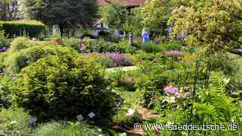 Ökologischer Garten: Wieso wir Giftpflanzen brauchen - Starnberg - Süddeutsche Zeitung - SZ.de