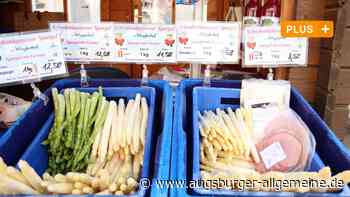 Aichach-Friedberg: Die geringe Nachfrage nach Spargel beschert ein frühes Saison-Ende | Aichacher Nachrichten - Augsburger Allgemeine