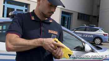 Nuovo dispositivo di sicurezza: a Monfalcone agenti delle Volanti con il taser - Il Piccolo