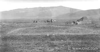 Mystery of the Black Death: DNA Analysis Reveals Major Clue     - CNET